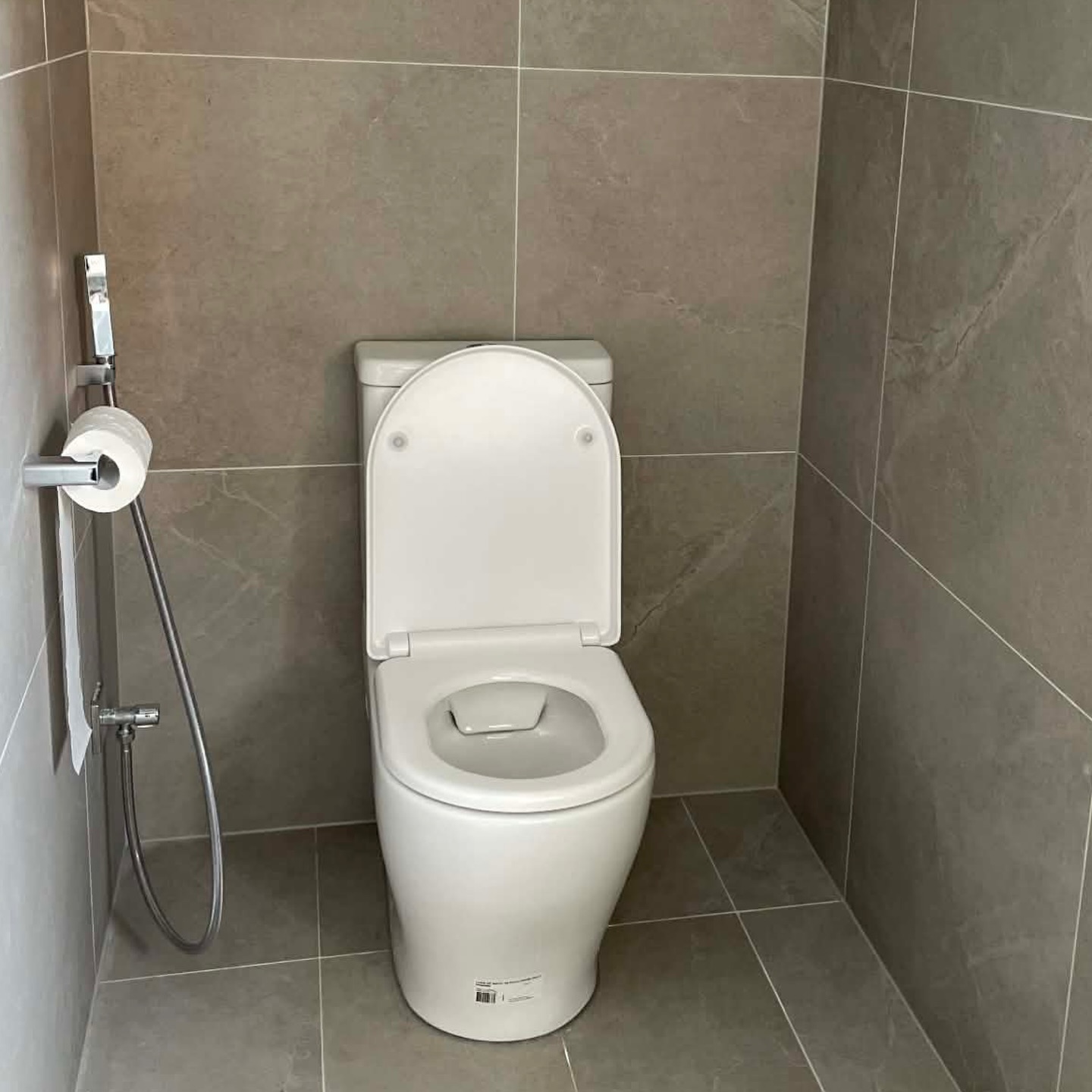 Back-to-wall toilet suite with bidet spray
